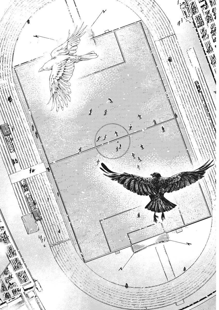 Chapter  275 Image(8)