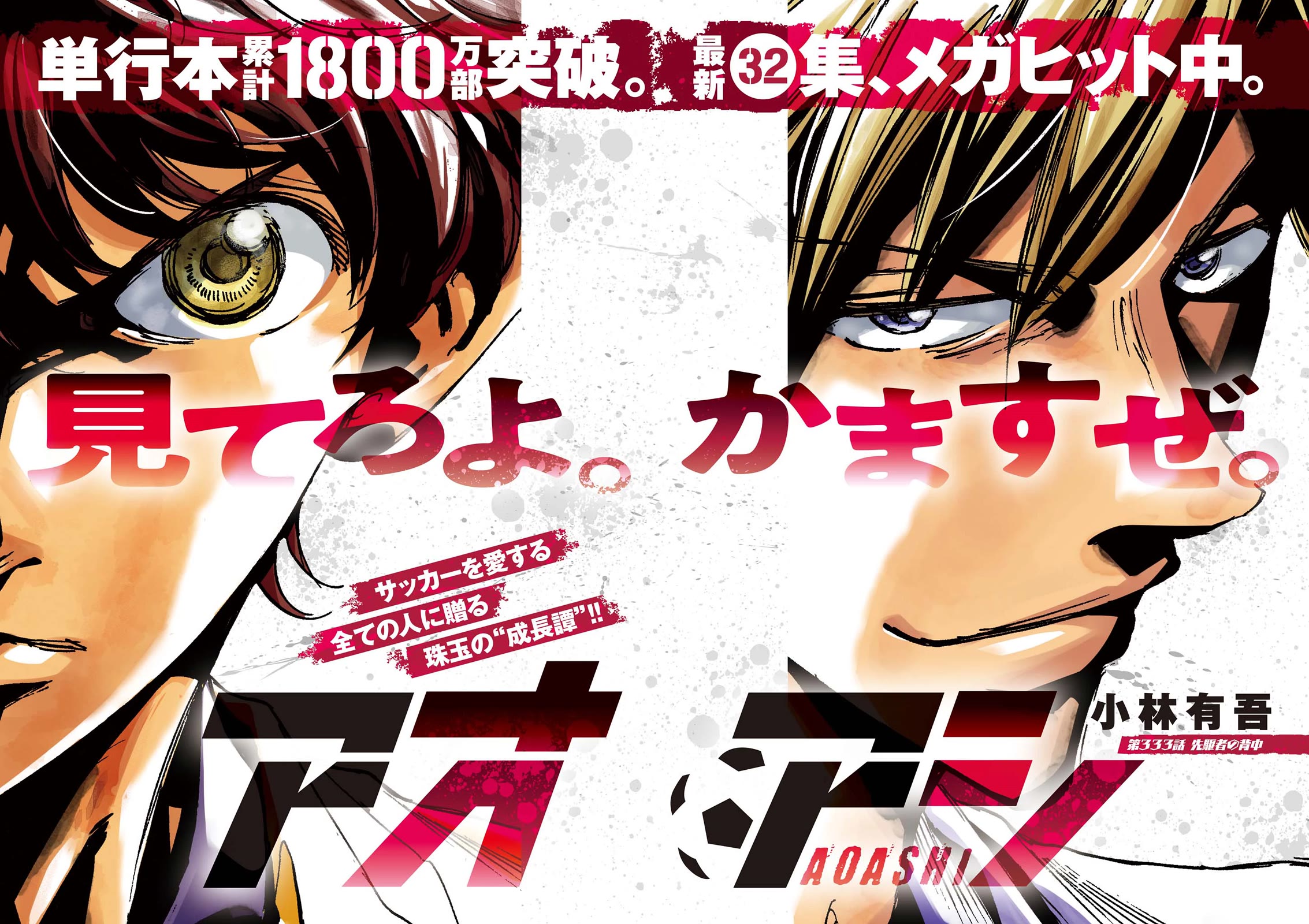 Chapter 333 Image(1)